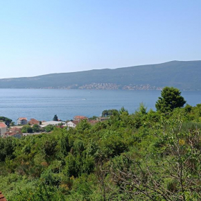 Apartman Radomir